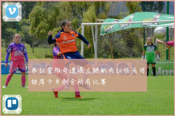 弗拉霍维奇遭遇左腿肌肉拉伤或将缺席今年剩余所有比赛