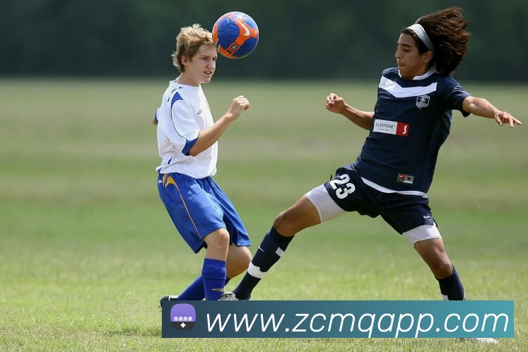 多媒体互动体验